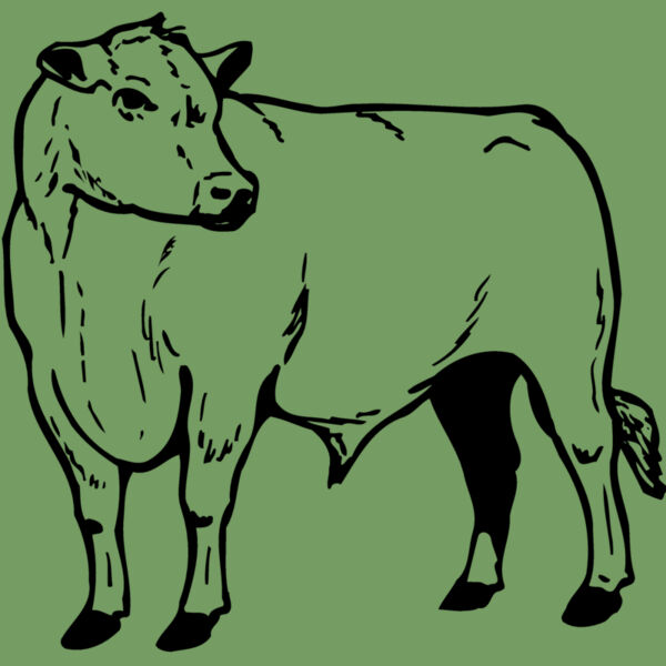 COW013 Thumbnail