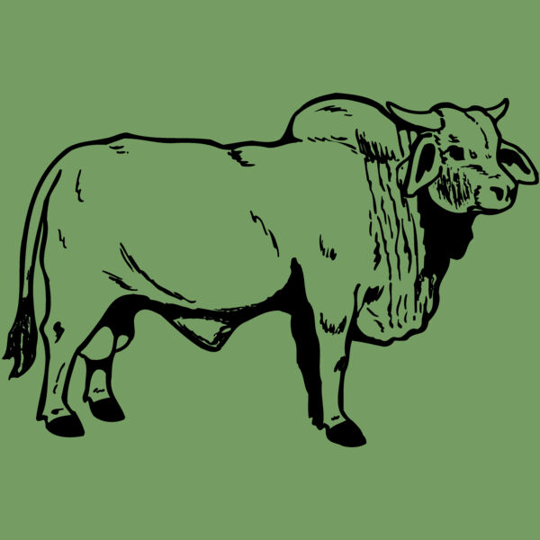 COW015 Thumbnail