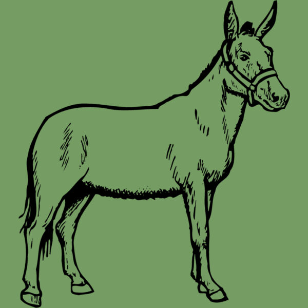 BURRO002 Thumbnail