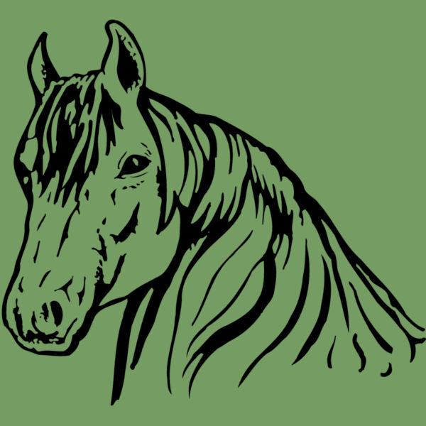 HORSE006 Thumbnail