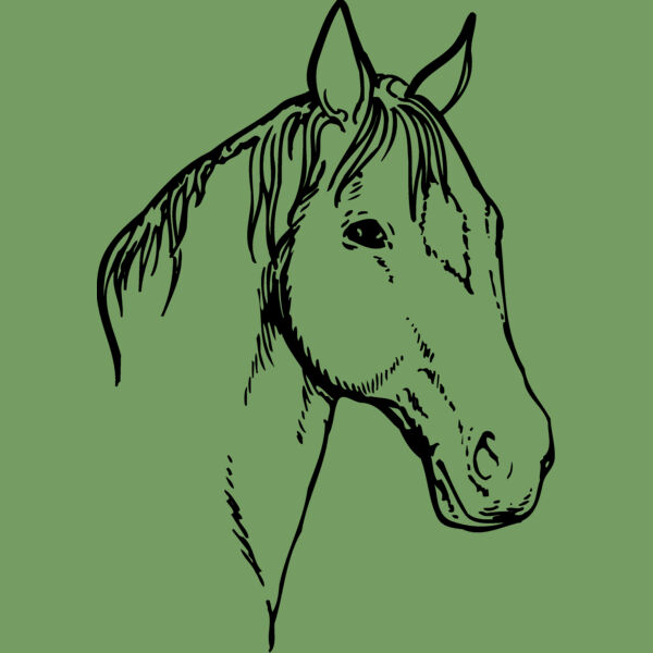 HORSE008 Thumbnail