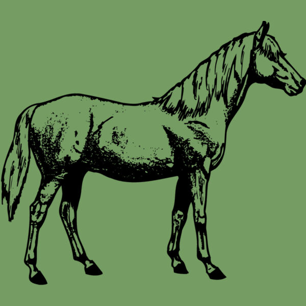 HORSE013 Thumbnail