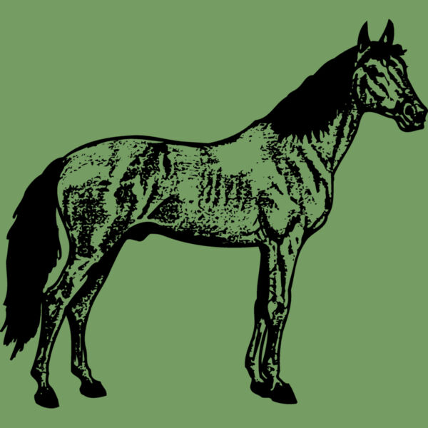 HORSE014 Thumbnail