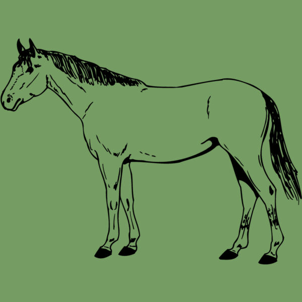 HORSE024 Thumbnail
