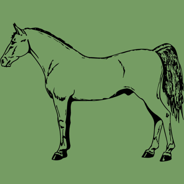 HORSE026 Thumbnail