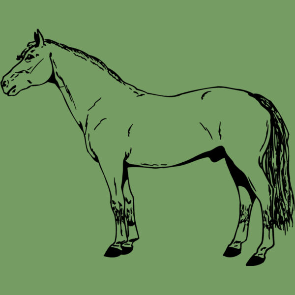 HORSE027 Thumbnail
