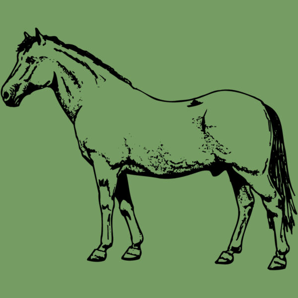 HORSE028 Thumbnail