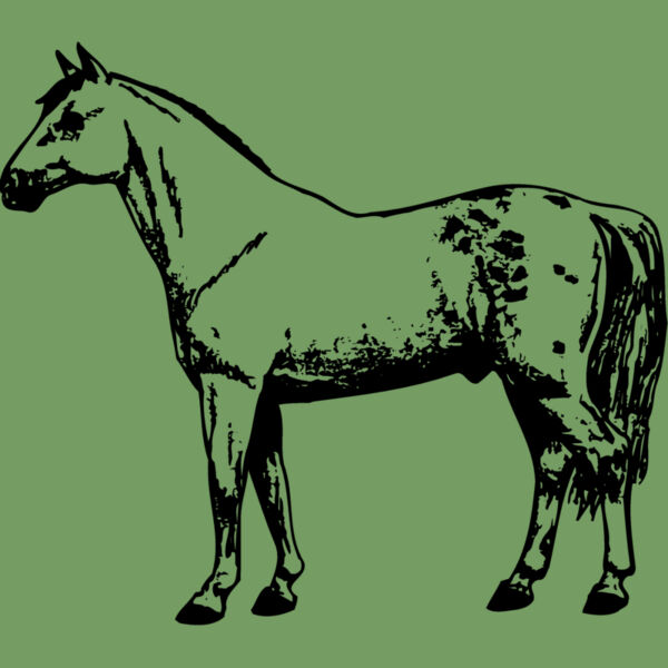 HORSE032 Thumbnail