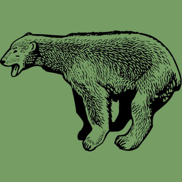 BEAR014_ Thumbnail