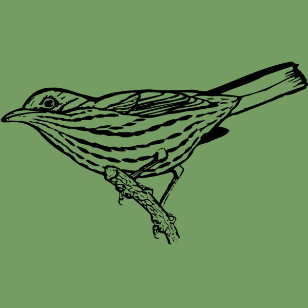 BIRD029 Thumbnail
