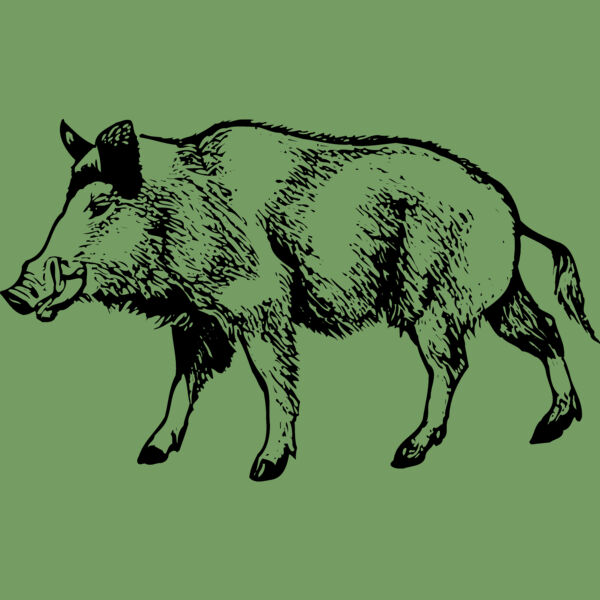 BOAR0001 Thumbnail