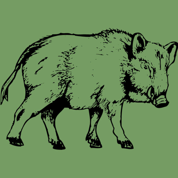 BOAR0003 Thumbnail