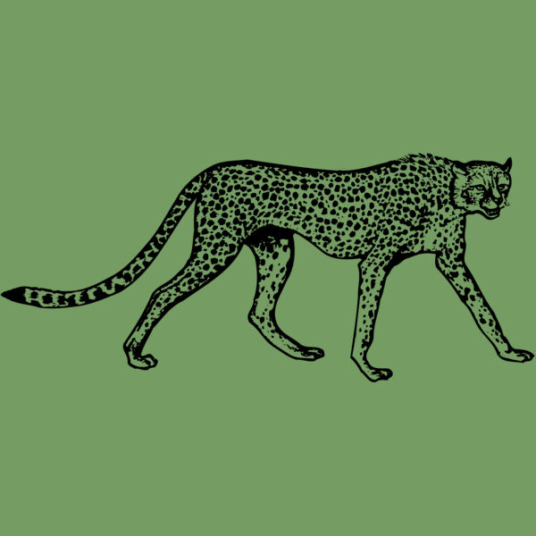 CHEETA02 Thumbnail