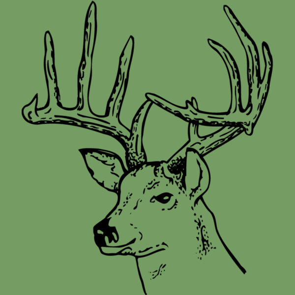 DEER014 Thumbnail