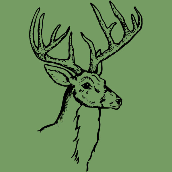 DEER017 Thumbnail