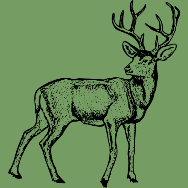 DEER029 Thumbnail