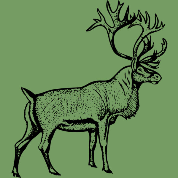DEER030 Thumbnail