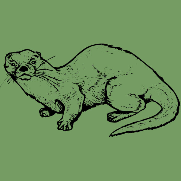 OTTER002 Thumbnail