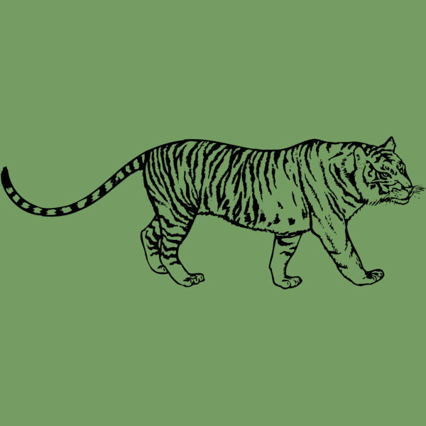 TIGER003 Thumbnail