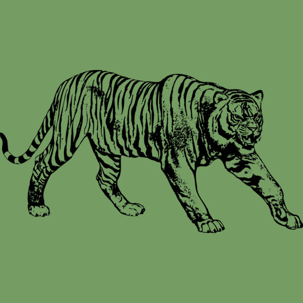 TIGER005 Thumbnail