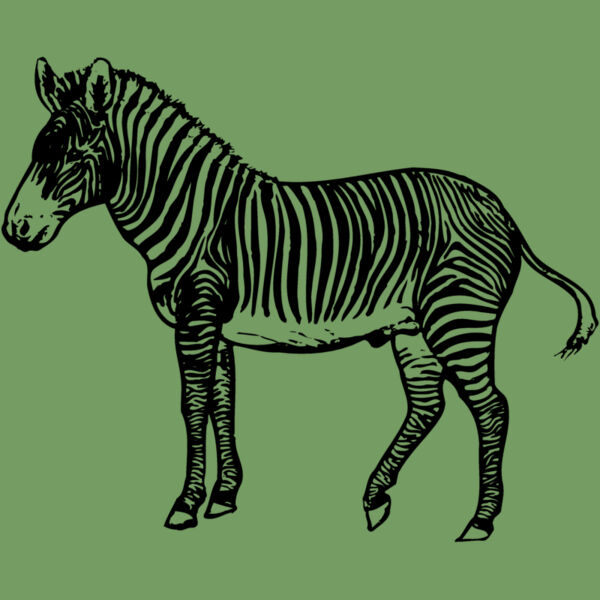 ZEBRA003 Thumbnail