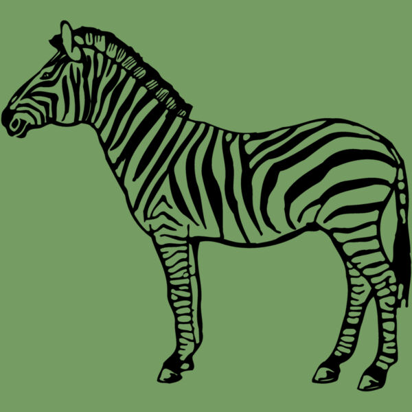 ZEBRA004 Thumbnail