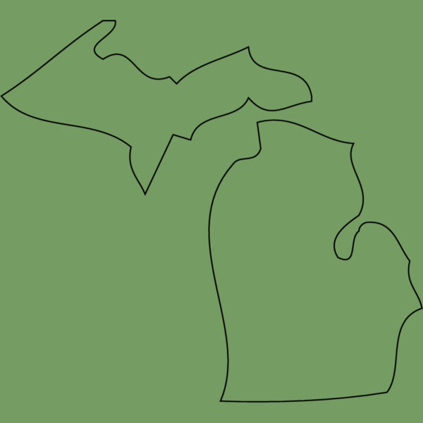 MICHIGAN Thumbnail