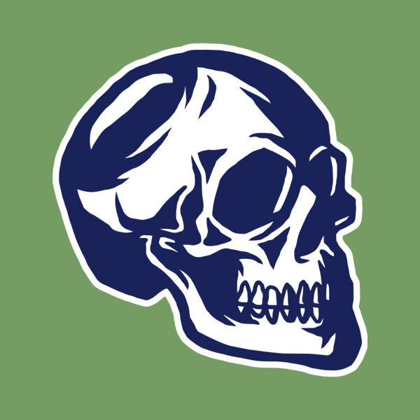 Elements Skulls logo template 139 Thumbnail