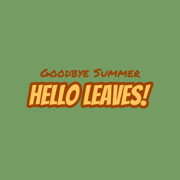 Fall Season 22 Thumbnail