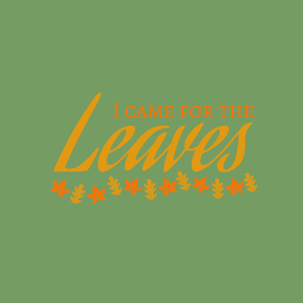 Fall Season 28 Thumbnail