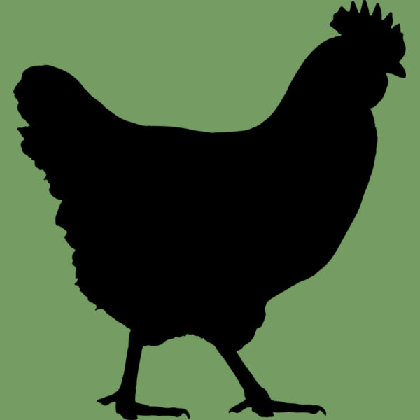 Chicken   Clipart 1 Thumbnail