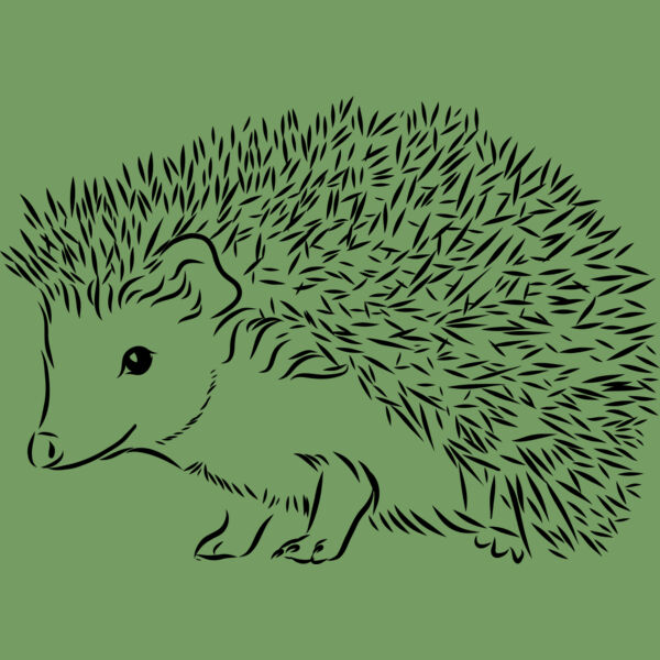 Hedgehog   Clipart 2 Thumbnail