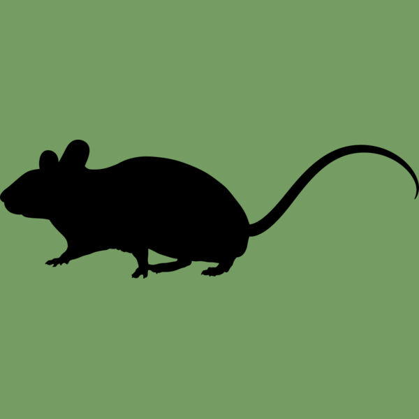 Mouse   Clipart 1 Thumbnail