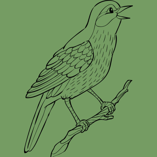 Nightingale   Clipart 2 Thumbnail