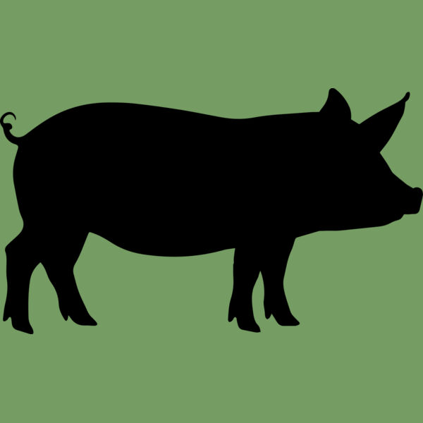 Pig   Clipart 1 Thumbnail