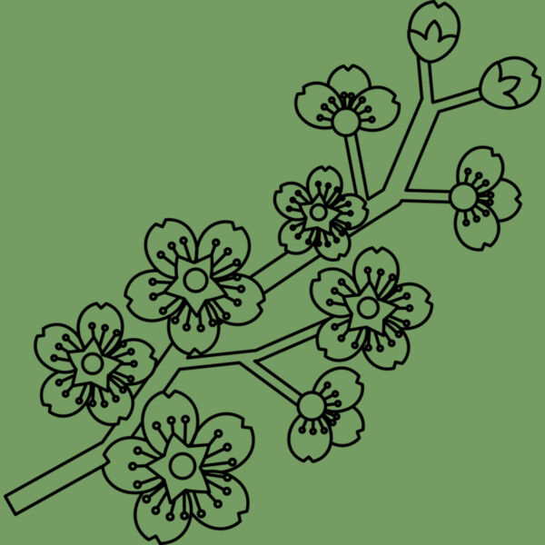 Cherry Blossom Branch Thumbnail