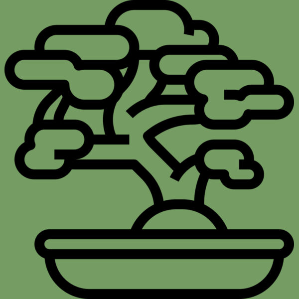 Bonsai Tree Thumbnail