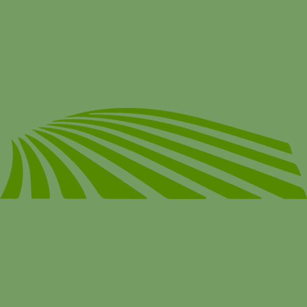 67 Rice Field Thumbnail