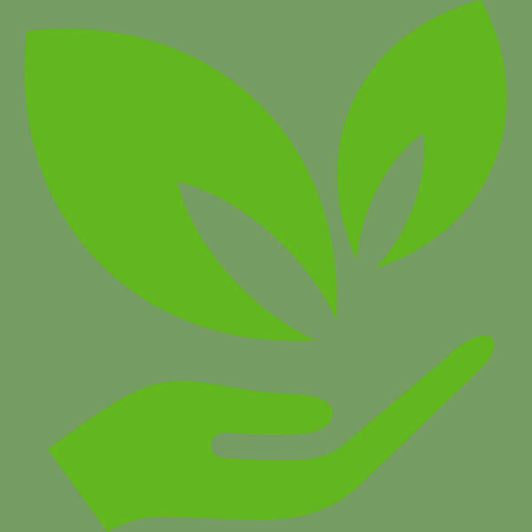 51 Leaves in hands Thumbnail