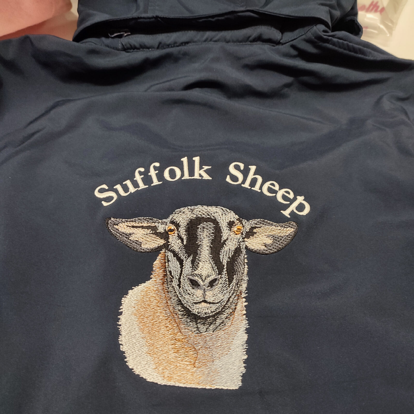 Suffolk Sheep