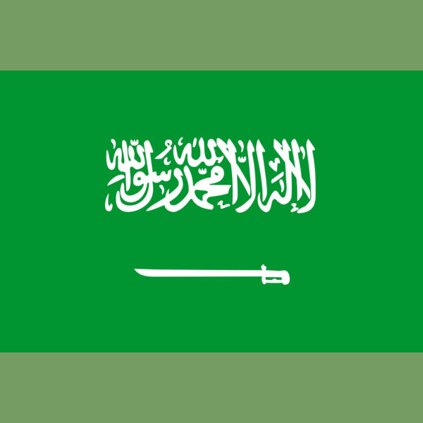 saudi arabia Thumbnail