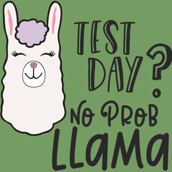 Test Day No Prob Llama Thumbnail