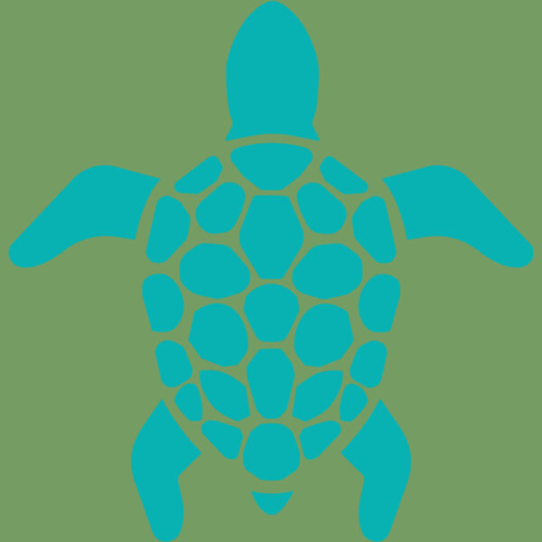 Turtle 01 Thumbnail