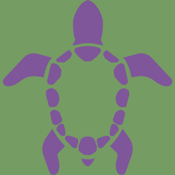 Turtle 02 Thumbnail
