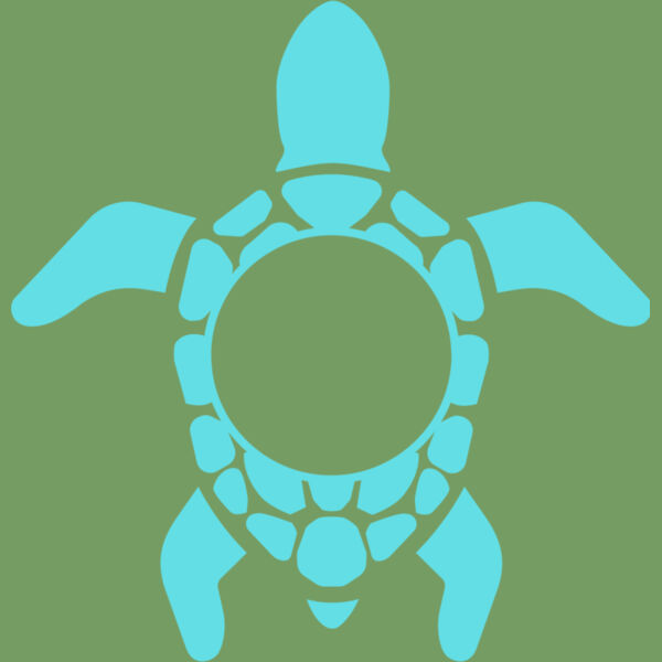 Turtle 03 Thumbnail