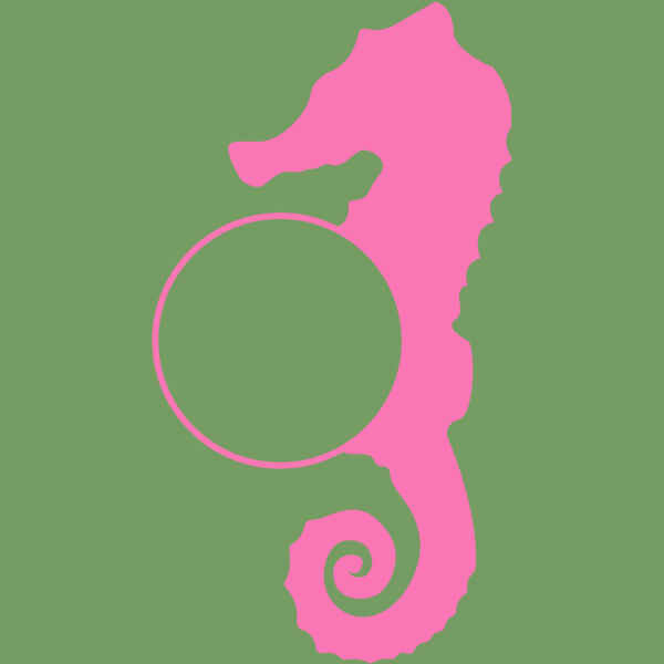 Seahorse 02 Thumbnail