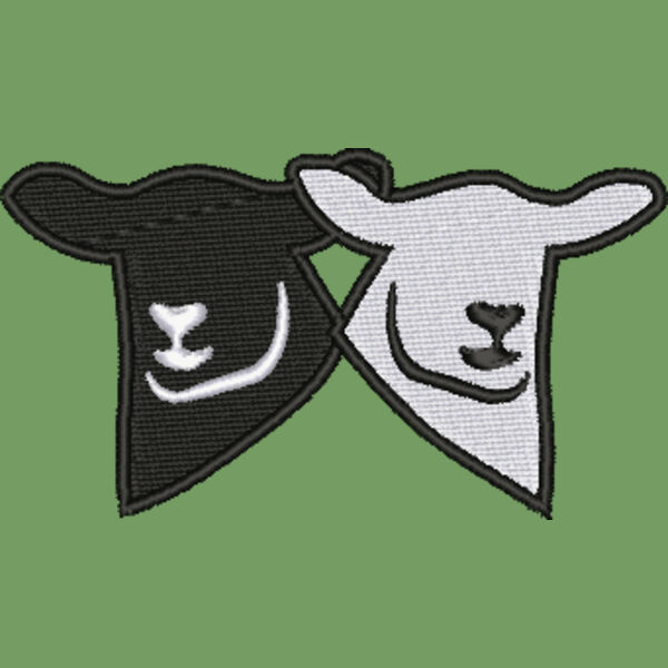 Black and white sheep Thumbnail