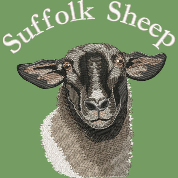 Suffolk Sheep Thumbnail