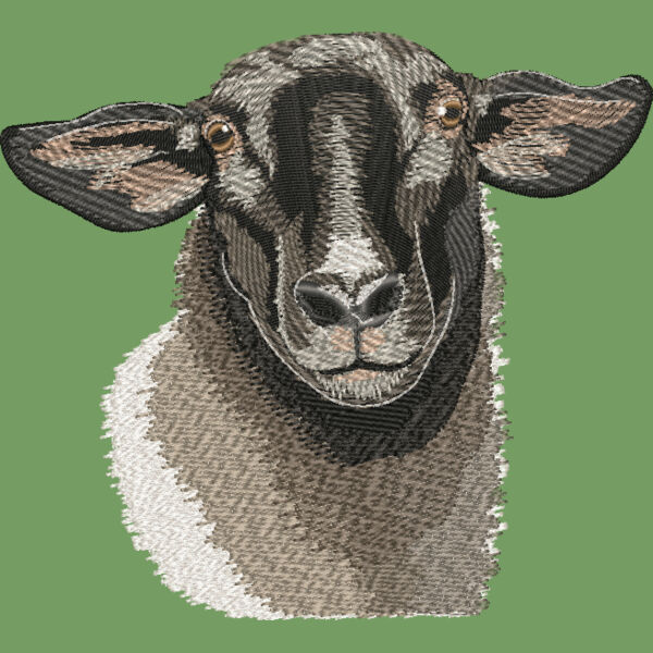 Suffolk Sheep No Text Thumbnail