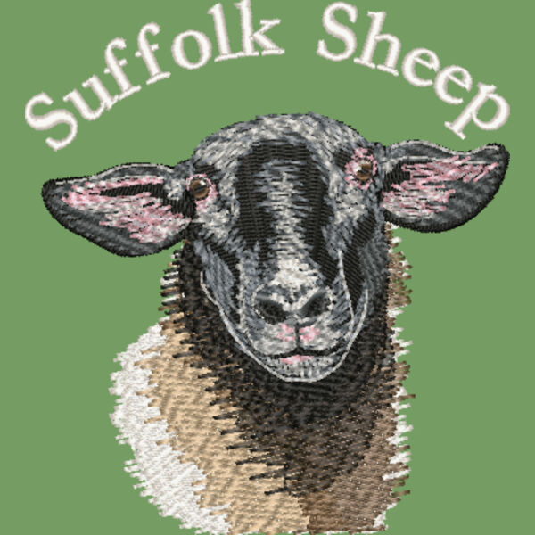 Suffolk Sheep Chest Thumbnail